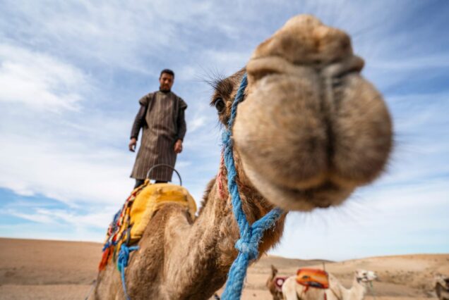 3 Days Morocco New Year Tour from Marrakech to Erg Chebbi Dunes