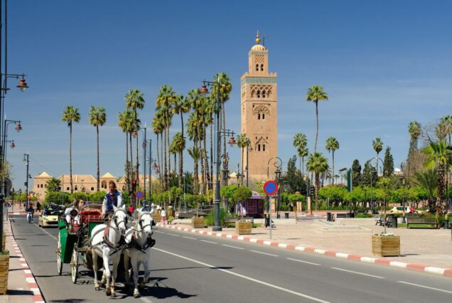 Morocco Grand Tour: 10 Days Tour from Tangier