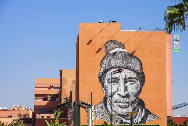 Marrakech Day Tour with Guide