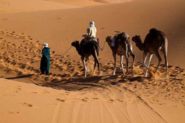 Private 5 Days Tour from Marrakech: A Morocco Desert Adventure